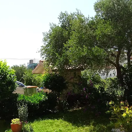 Appartamento Luna - *